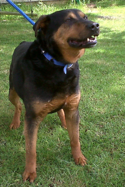 Picture of Ben