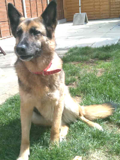 Picture of Cassie 